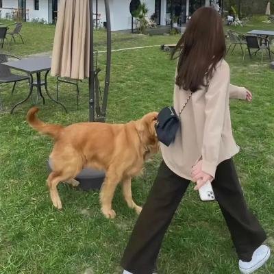我们的战争